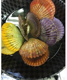 メルヘンパステル貝 | その他