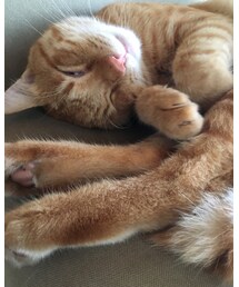 目半開きナツメさん | その他