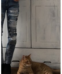 フレディ足元のナツメさん | その他