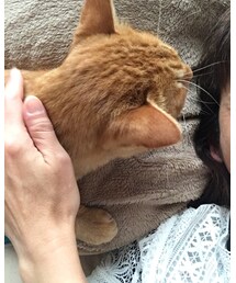 今日のナツメさん | その他