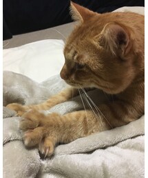 もみもみナツメさん | その他