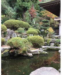 違う神社 | 牛リスペクト神社の隣の大神社⛩(その他)