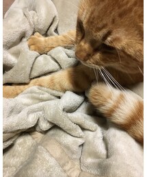 今日のナツメさん | いつもより多めにもみもみ中❤️(その他)