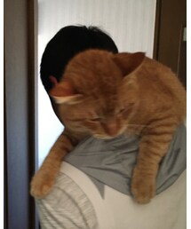 三男に拉致されるナツメさん🐈 | その他