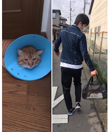 今日のナツメさん | その他