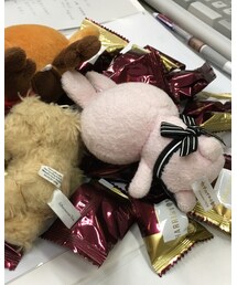 マレーシア土産に群がる小動物たち(о´∀`о) | その他