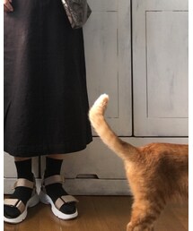 今日のナツメさん🐈 | その他