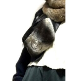 STUSSY | ボディバッグ/ウエストポーチ