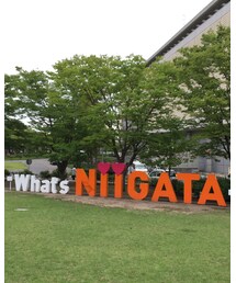 マイケル | その他