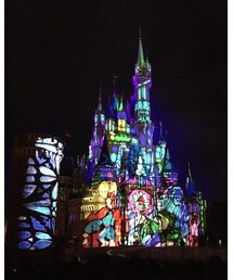 プロジェクションマッピング | その他