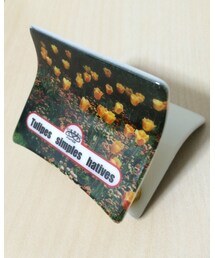 THEATRE PRODUCTS | バレッタ/ヘアクリップ