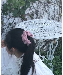 ダイソー | シュシュ