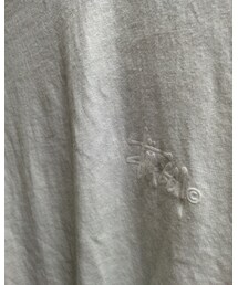 STUSSY | Tシャツ/カットソー