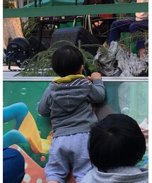 1.5歳 | その他