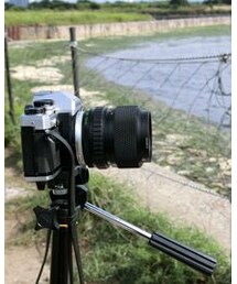 Film Camera | その他