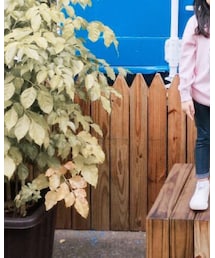 ZARA KIDS | デニムパンツ