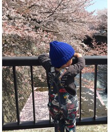 🌸桜散ってしましたね | その他