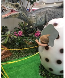 恐竜の卵からこんにちは♡ | 福袋/福箱