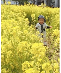 🌼 | その他