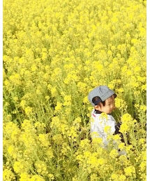 🌼 | その他