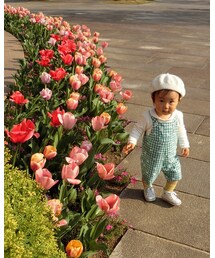 🌷 | その他