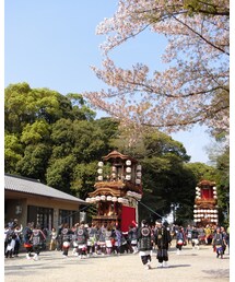🌸 | その他