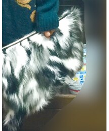 Re:EDIT | クラッチバッグ