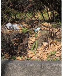 HENRIKVIBSKOV | ソックス/靴下