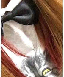 39 | 蝶ネクタイ