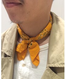 IL BISONTE | バンダナ/スカーフ