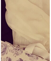 Apuweiser-riche | シャツ/ブラウス