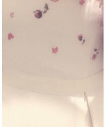 Apuweiser-riche | ワンピース