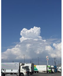 THE入道雲 | その他