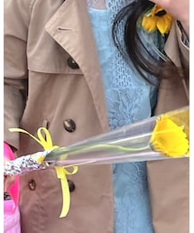 ZARA | トレンチコート