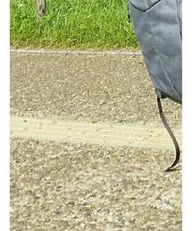 afecta | バックパック/リュック