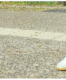 germantrainer | スニーカー