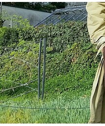 agnesb | マフラー