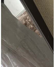 MERCURYDUO | スカート