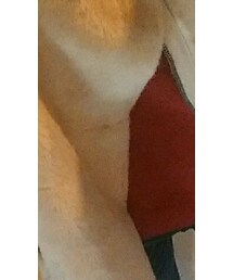 Ungrid | ニット/セーター