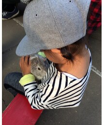 ♡動物園♡ | その他