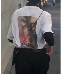 STUSSY | Tシャツ/カットソー