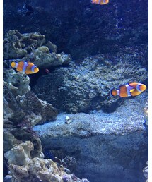 😁💓 | その他