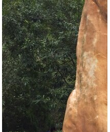 H&M | ジャケット/アウター