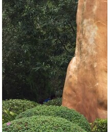 UNIQLO | トップス