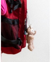 Disney | シェリーメイ🧸のキーホルダー(おもちゃ)