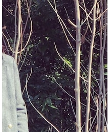 ZARA | チェスターコート