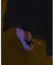 TOMMY HILFIGER | スニーカー