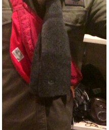 LACOSTE | マフラー