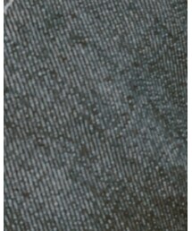 Lee | エコバッグ/サブバッグ