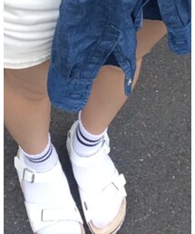 PLAZA | ソックス/靴下